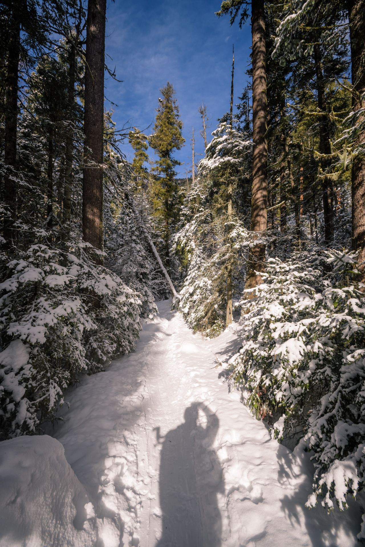 Bass Creek Falls Hike – Winter Edition – Mountain Misfits