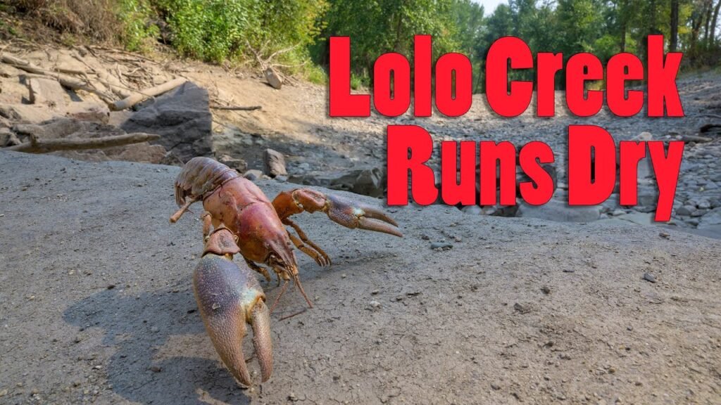 Lolo Creek Runs Dry