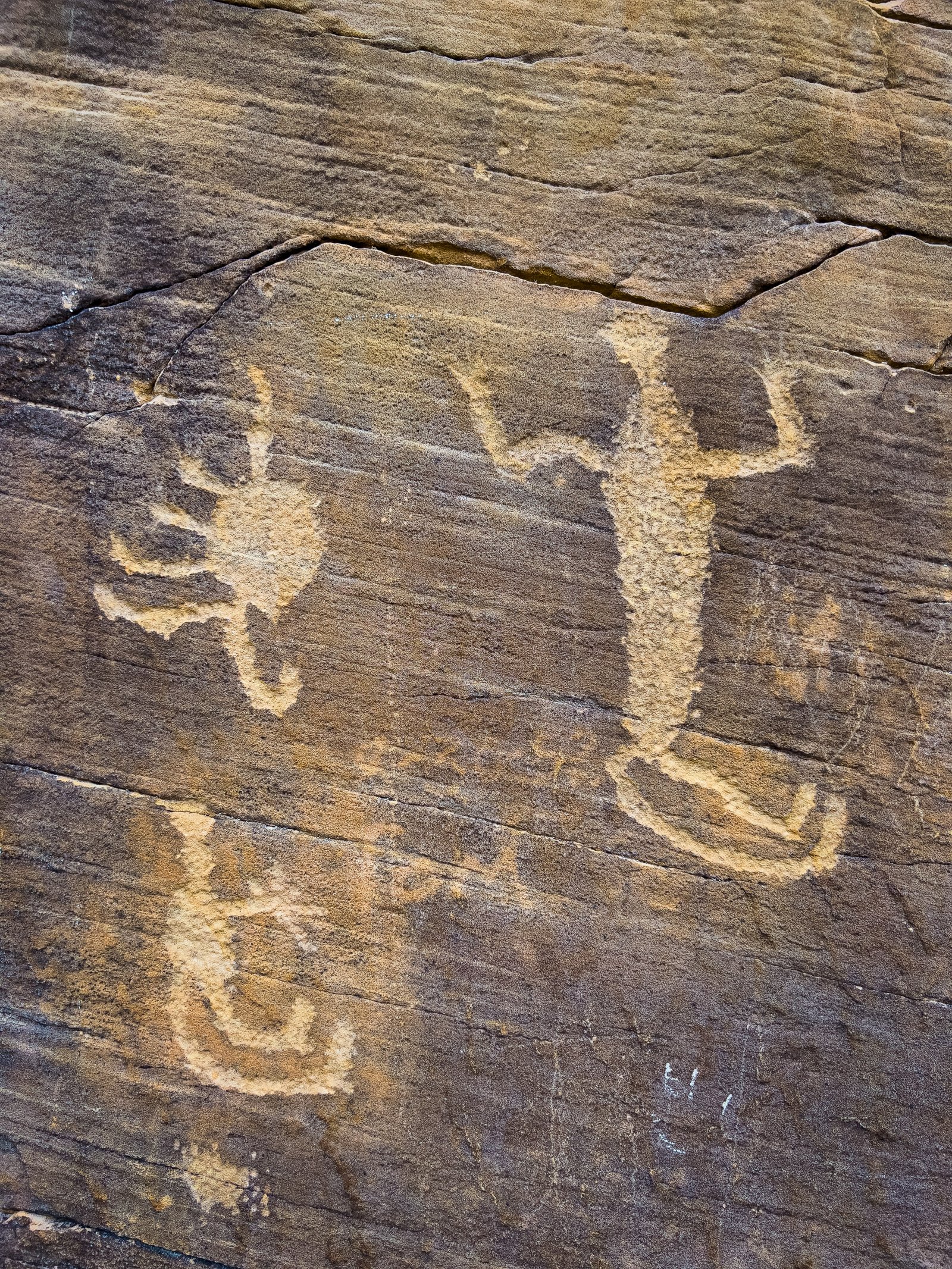 Petroglyphs of a couple of human figures and a scorpion on the sandstone wall of Petroglyph Canyon